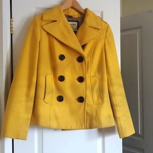 Beautiful Yellow Jacket